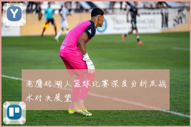 老鹰对湖人篮球比赛深度分析及战术对决展望