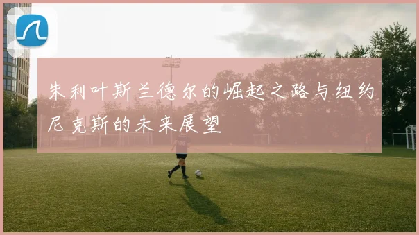 朱利叶斯兰德尔的崛起之路与纽约尼克斯的未来展望