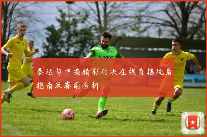 泰达与申花精彩对决在线直播观看指南及赛前分析
