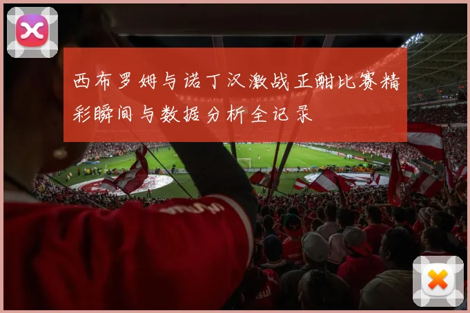 西布罗姆与诺丁汉激战正酣比赛精彩瞬间与数据分析全记录
