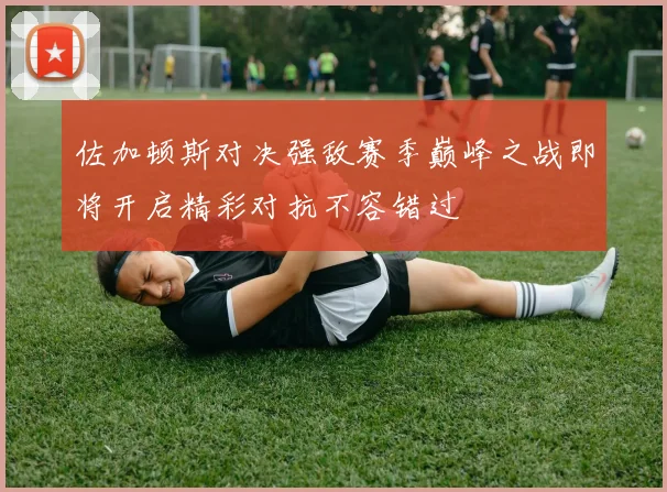 佐加顿斯对决强敌赛季巅峰之战即将开启精彩对抗不容错过