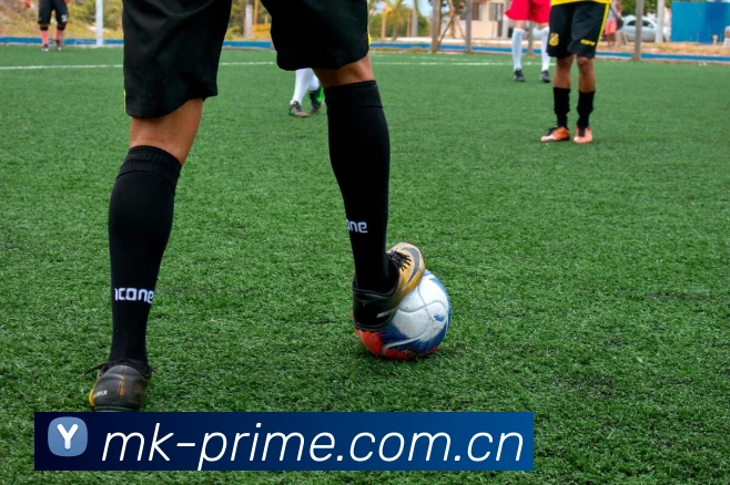 多媒体互动体验